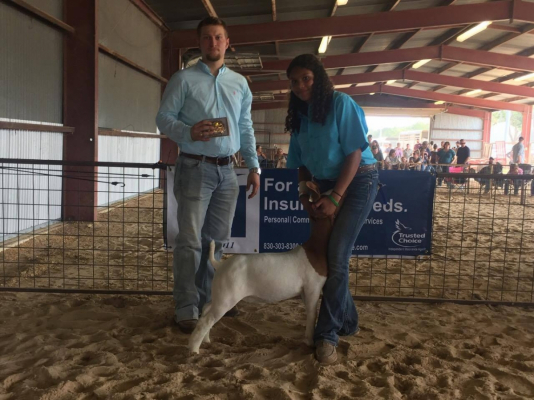 2017 Guadalupe County Fair